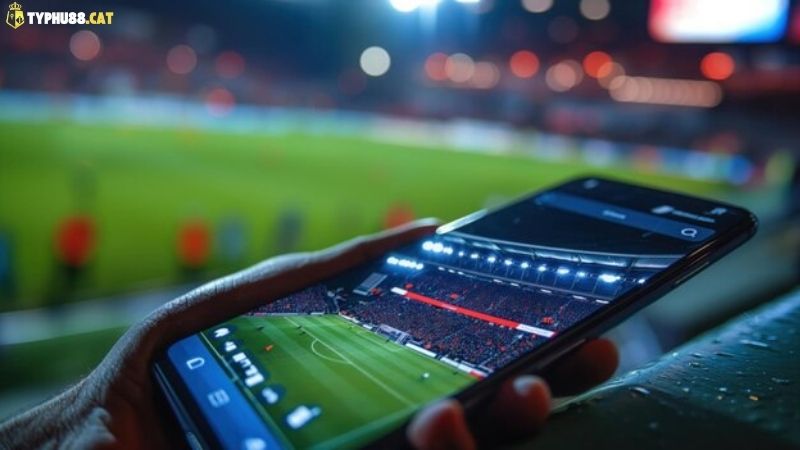 Tải App Typhu88 - Link Tải Chính Thống Mới Nhất 2 dieu-dang-tiec-neu-khong-tai-app-typhu88-som